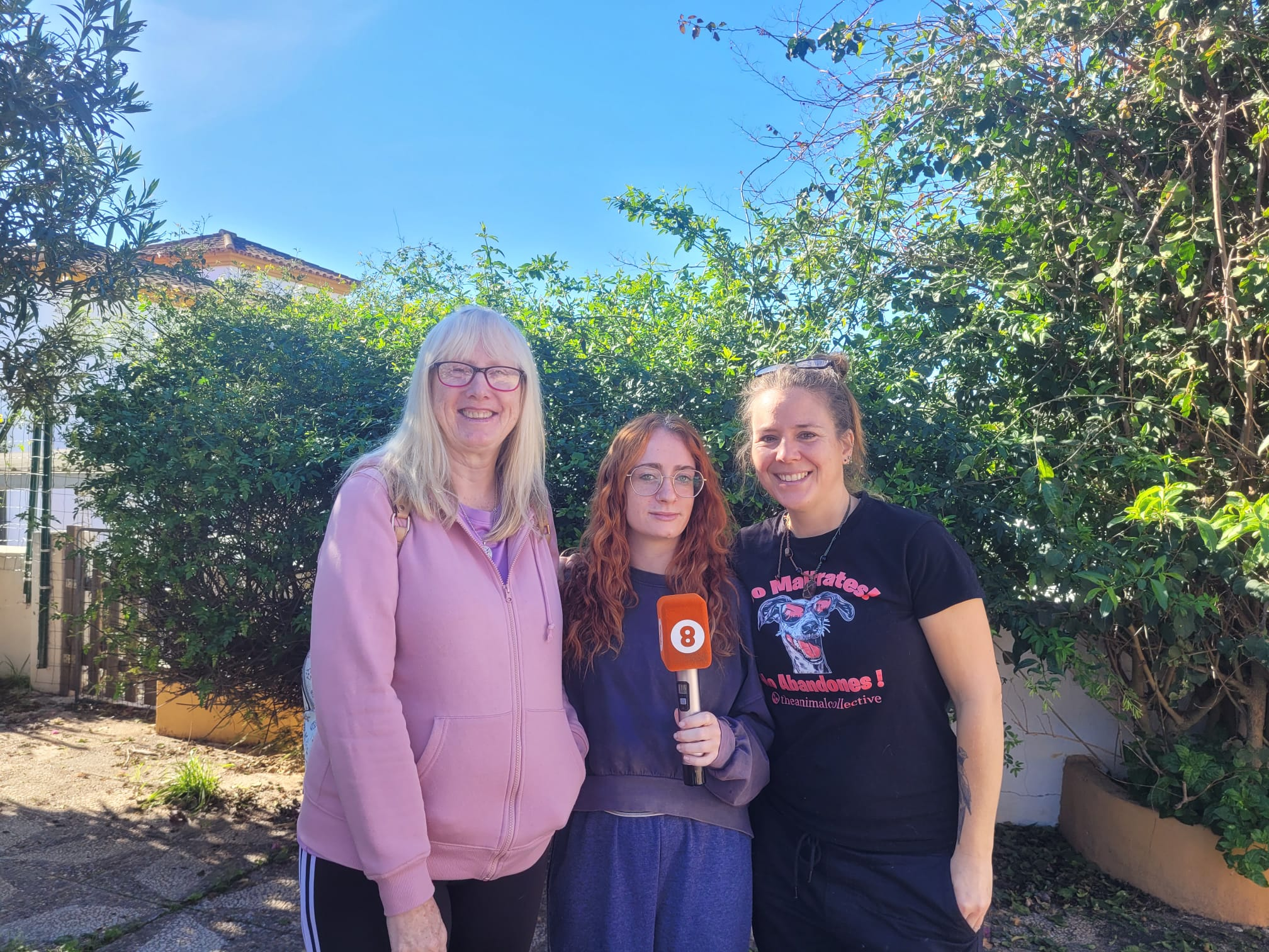 The Animal Collective: un espacio de protección y esperanza para cientos de animales desamparados