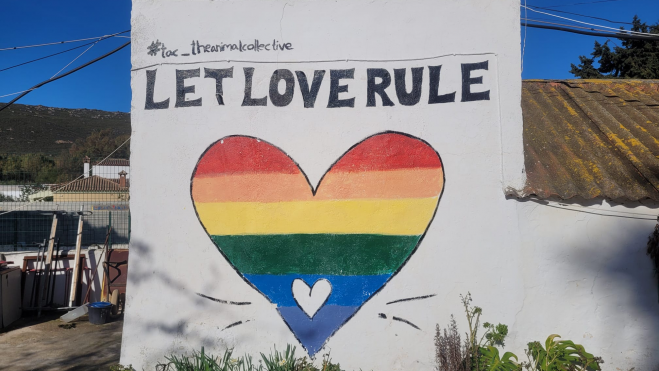 imagen 2025 12 29 224532892