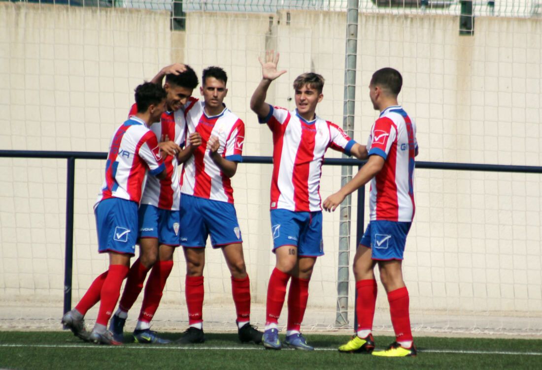 alge b en bazan