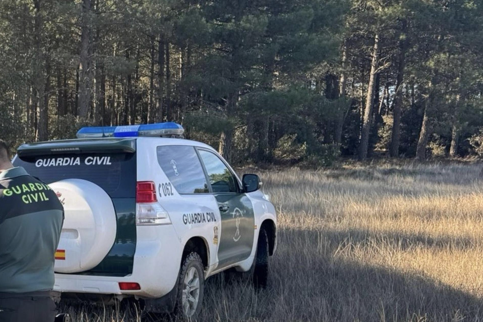 Andalucía, la comunidad con el mayor número de mujeres asesinadas por violencia de género en 2025