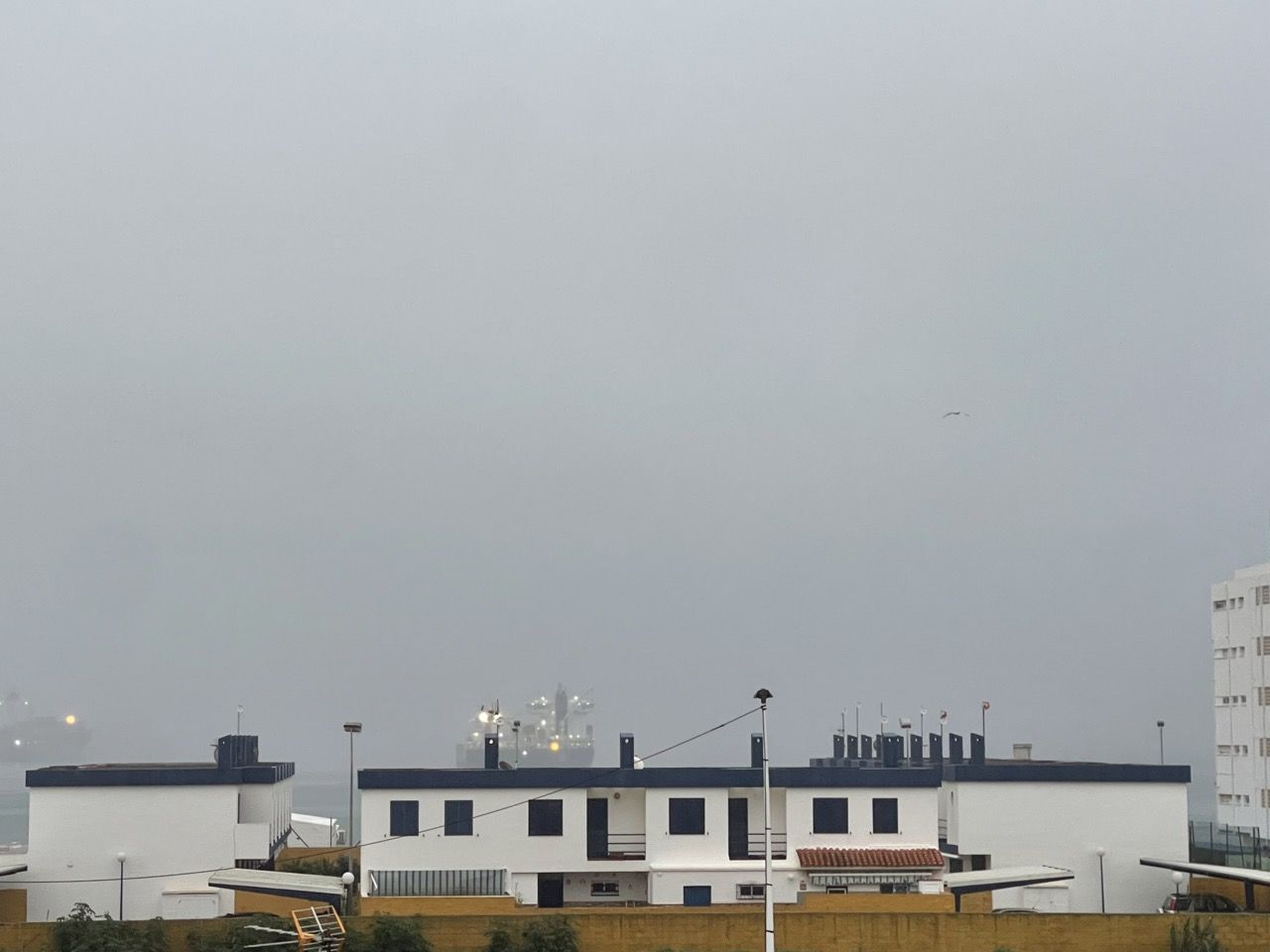 2026 comienza con lluvias en varios puntos del país por la llegada de 'Francis'. Foto: S.F. / 8Directo