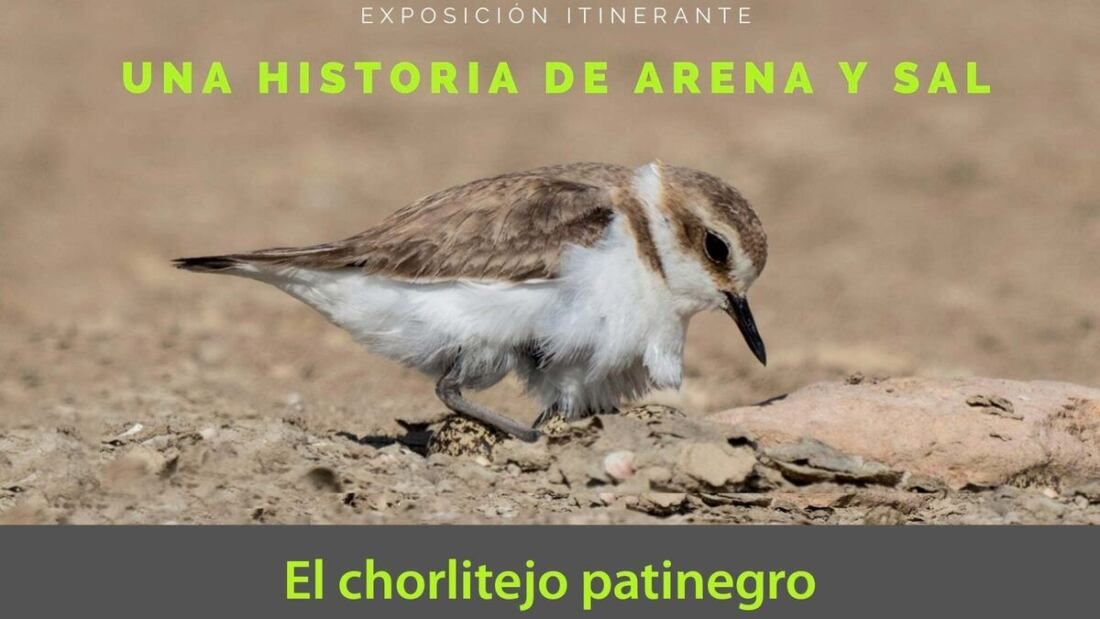 Cartel-Exposicion_1724537777_166947719_1200x675