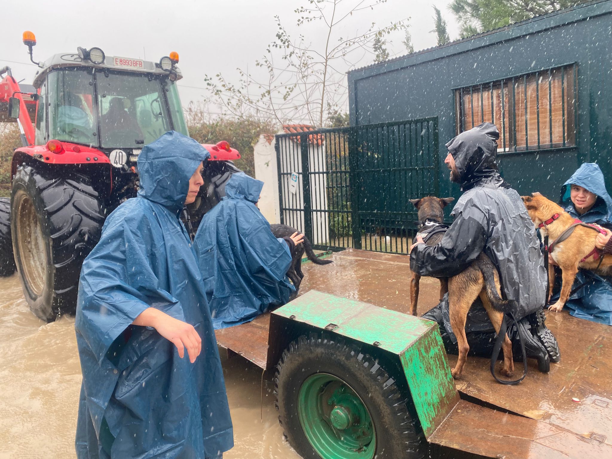Última hora del temporal de lluvia en la comarca: desbordamiento de ríos, anegaciones y cortes de carreteras. Imagen de la Perrera de Los Barrios, cedida a este medio.
