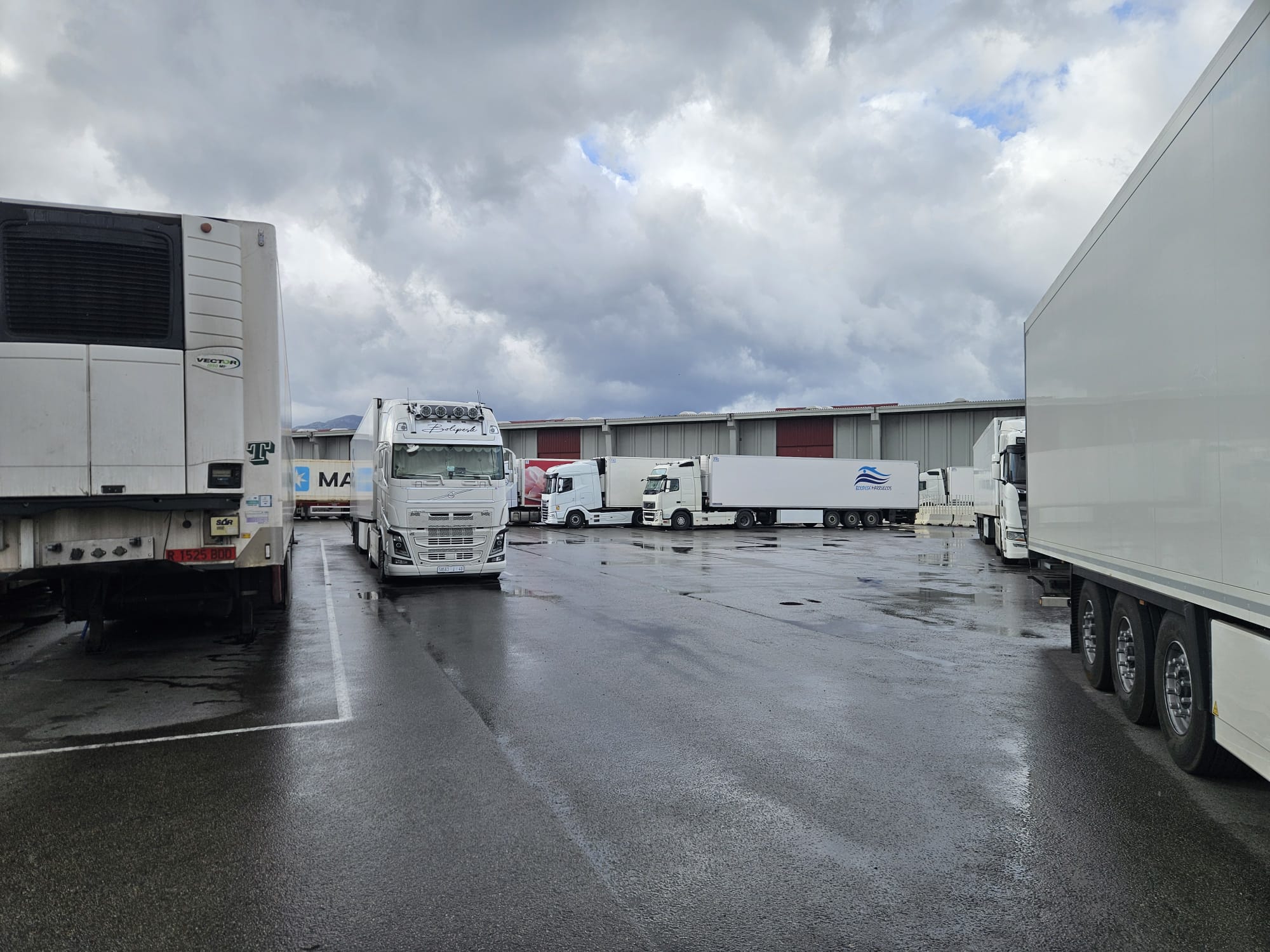 Alertan de graves pérdidas en Algeciras por un nuevo sistema para la tramitación de productos pesqueros