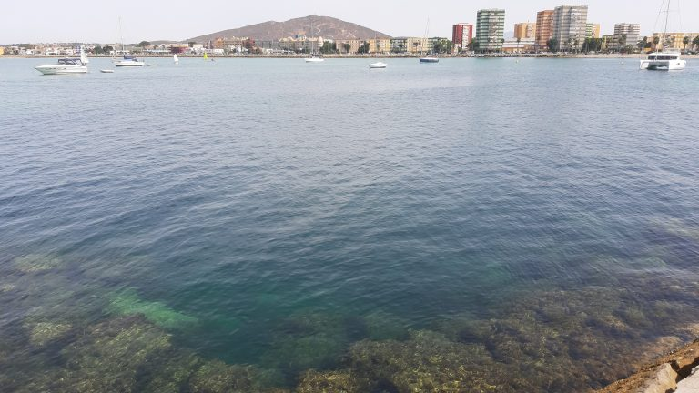 La UCA lleva a las aulas del municipio su proyecto 'Plantación de especies de angiospermas marinas La Línea-Marinea'