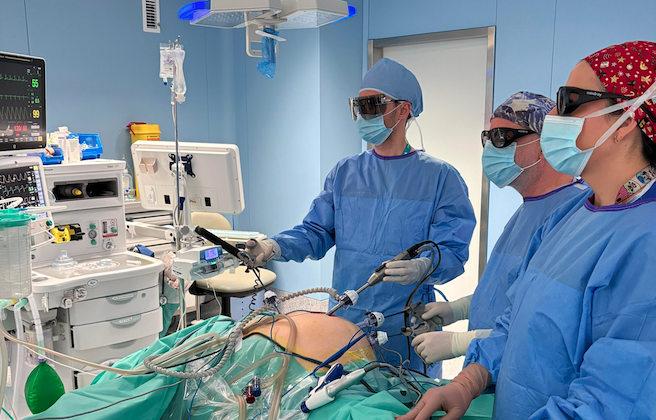 La cirugía laparoscópica 3D aumenta la precisión y disminuye el riesgo y el tiempo quirúrgico en operaciones complejas