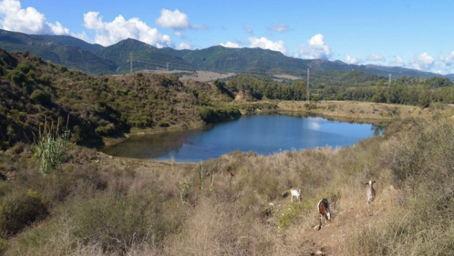 Captura de pantalla 2026 01 22 a las 16.50.16