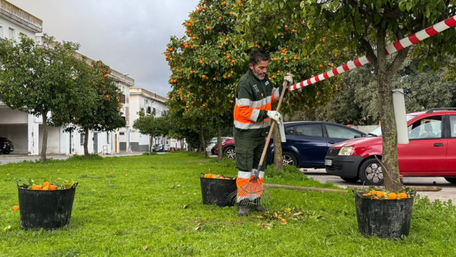 imagen 2026 01 22 185638126 imagen 2026 01 22 185638126