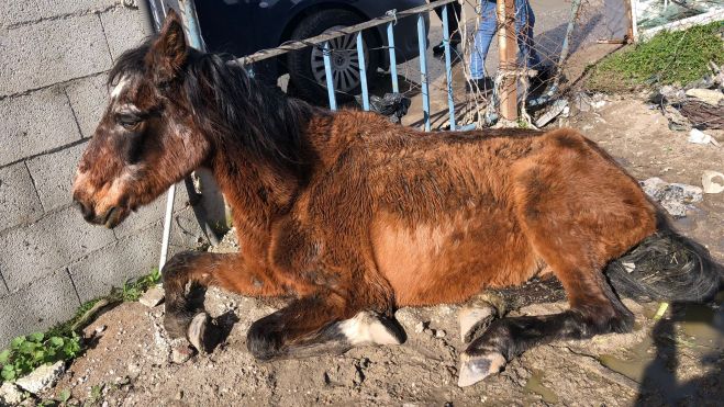 WhatsApp Image 2026 01 24 at 13.42.49 (1)