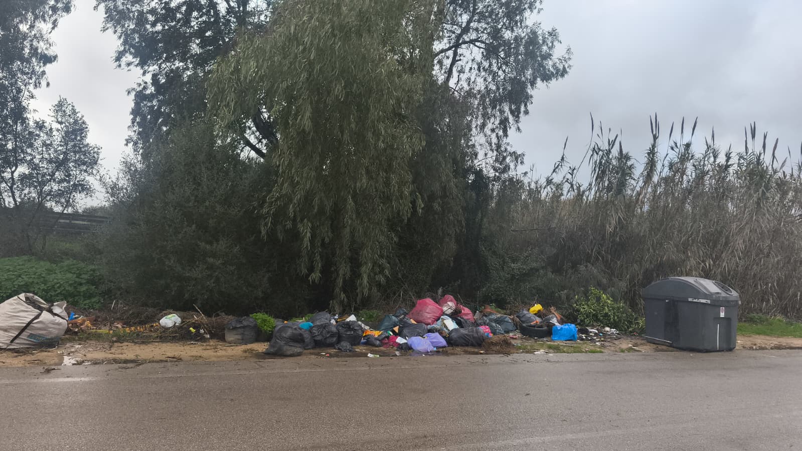 Vecinos de la antigua Cañada de Los Barrios denuncian la acumulación de residuos. Imagen cedida a este medio.