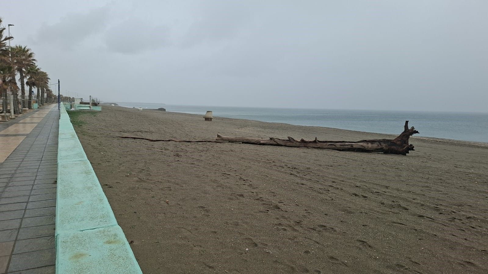  Caídas de ramas, desprendimientos de tendido eléctrico y daños en viviendas en La Línea