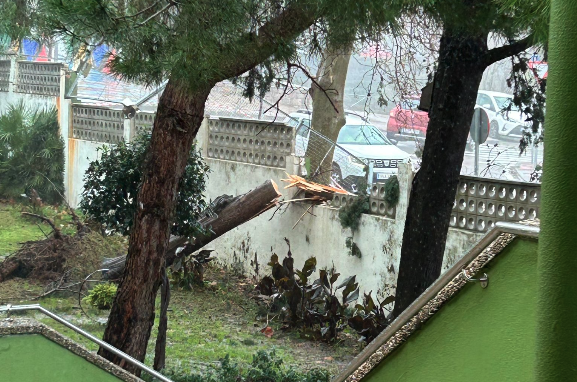 La caída de un muro en el Torre Almirante obliga a suspender las clases La caída de un muro en el Torre Almirante obliga a suspender las clases