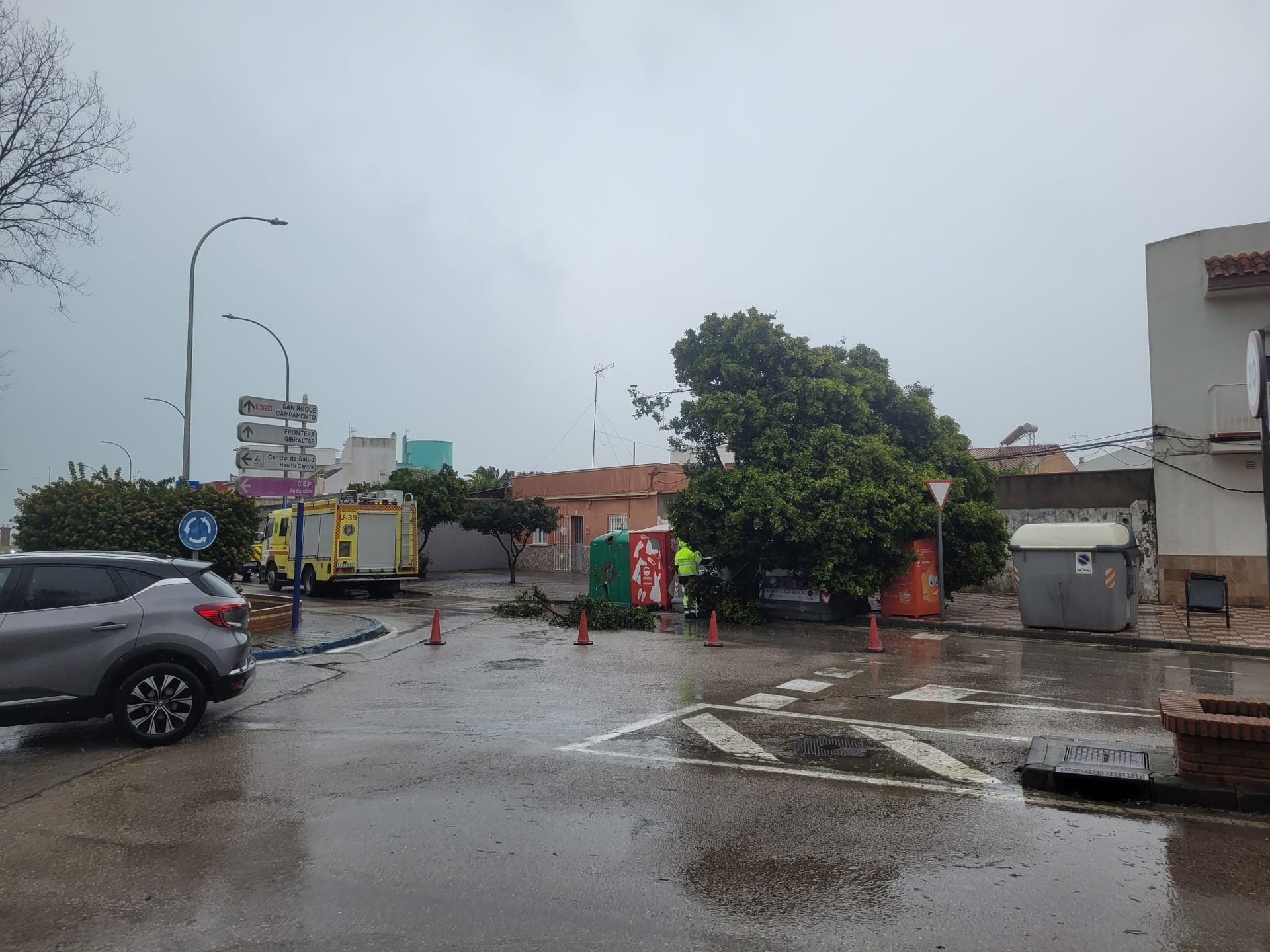 Las caídas de árboles y ramas, las incidencias más destacadas en La Línea por el temporal Las caídas de árboles y ramas, las incidencias más destacadas en La Línea por el temporal