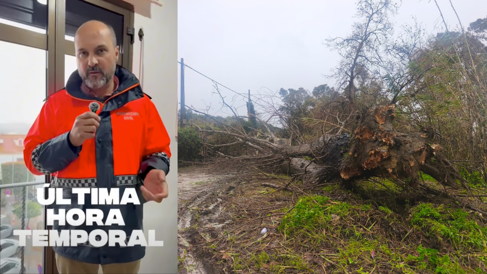 Miguel Alconchel, alcalde de Los Barrios: "Necesitamos empatía y colaboración para evitar daños personales"