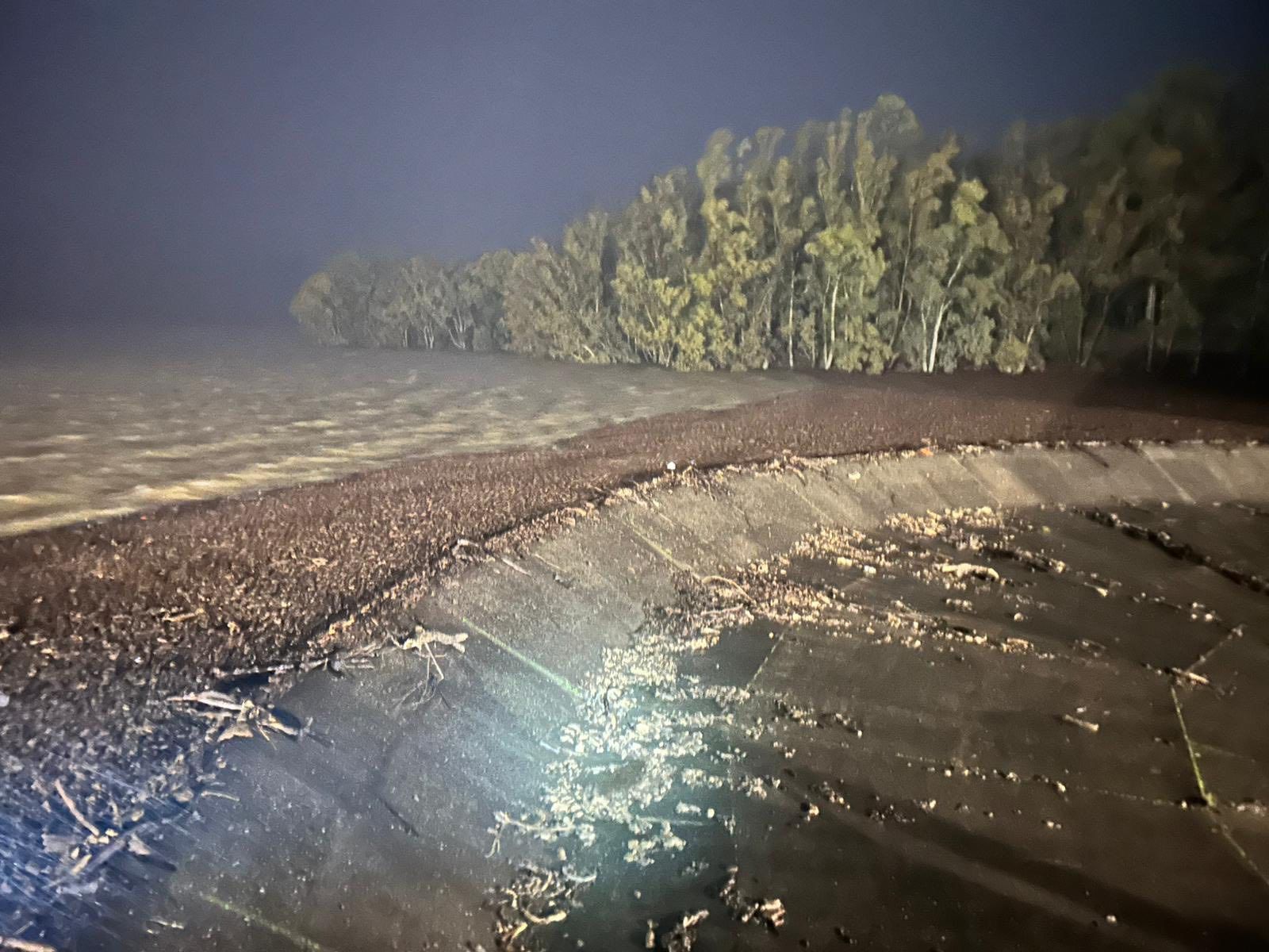 El embalse de Guadarranque, a pocos centímetros de su cota máxima