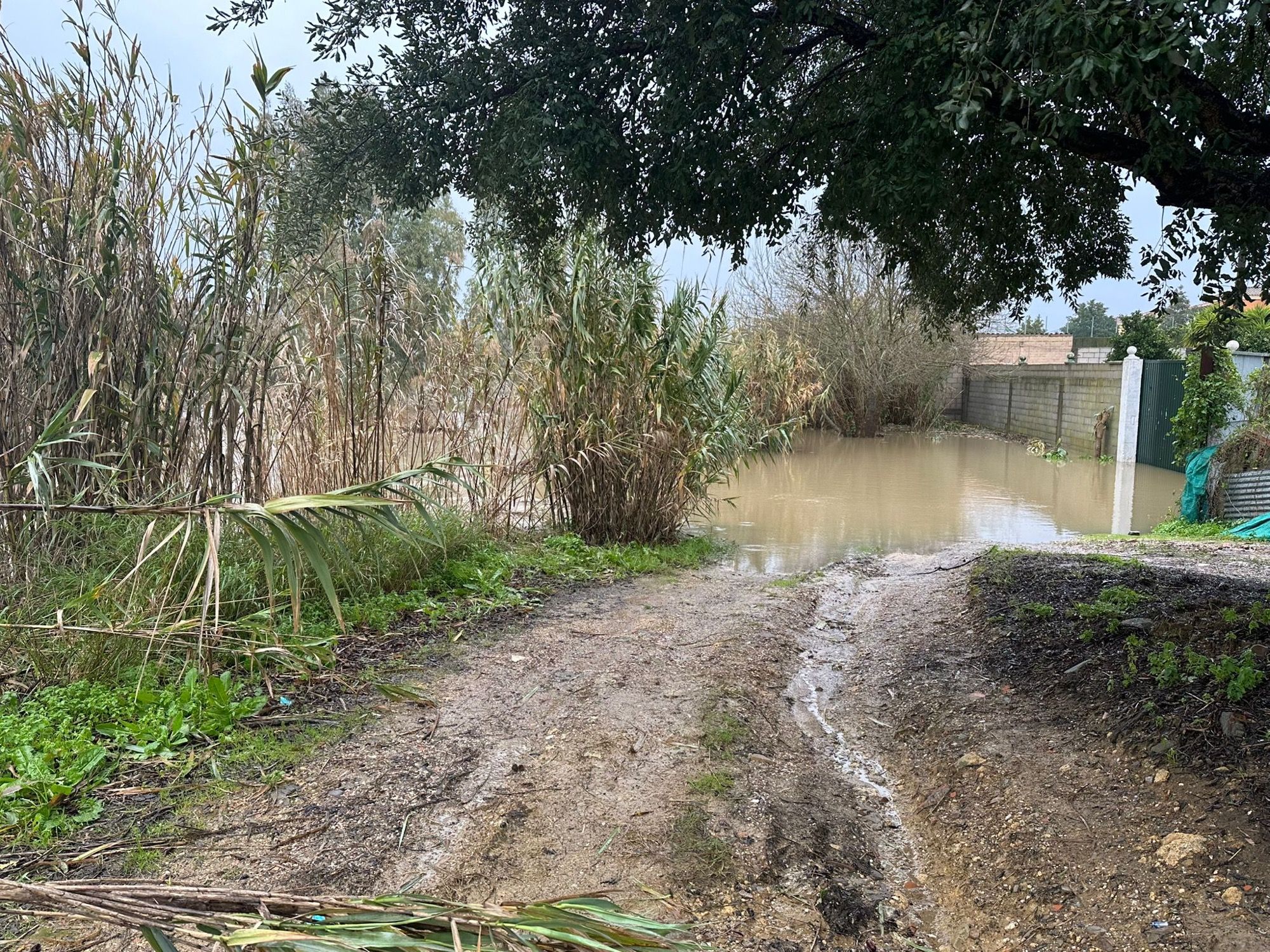 El temporal deja sin luz a 195 personas en Jimena y 24 en San Roque