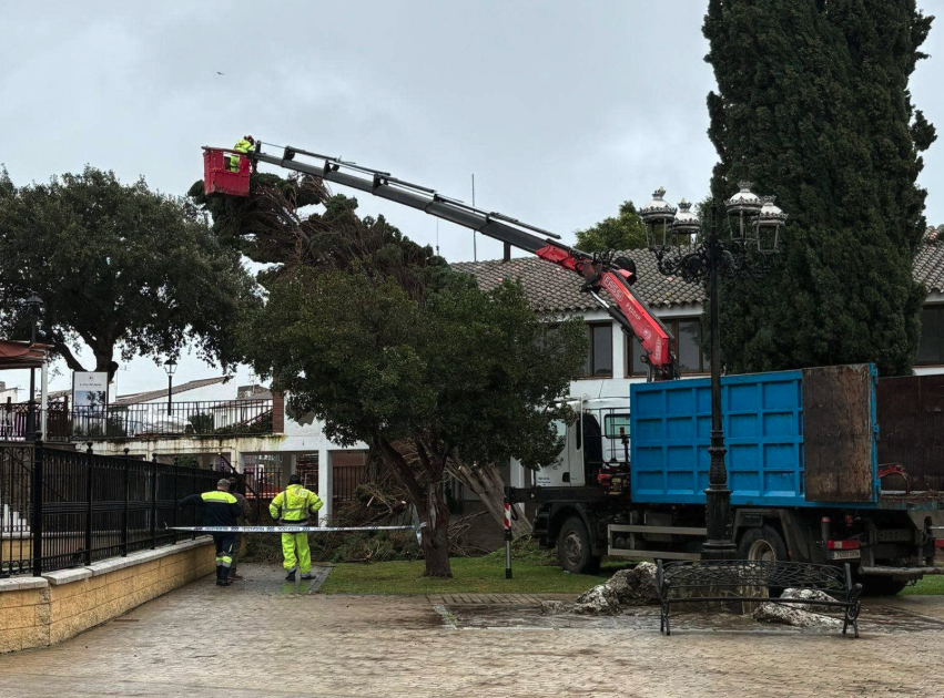 Castellar inicia las labores de limpieza tras el paso de la borrasca Kristin