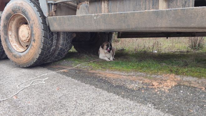 Niebla el día que la encontraron Niebla el día que la encontraron