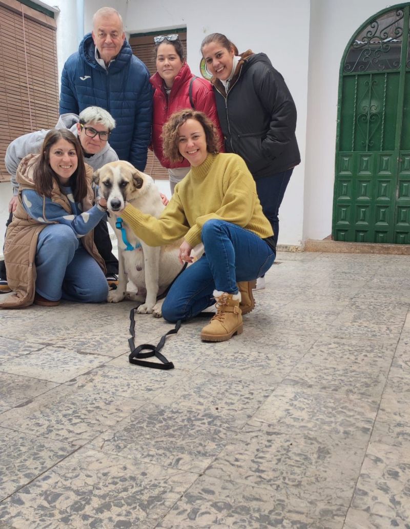 619316319 122196753758373048 8590823330621370455 n