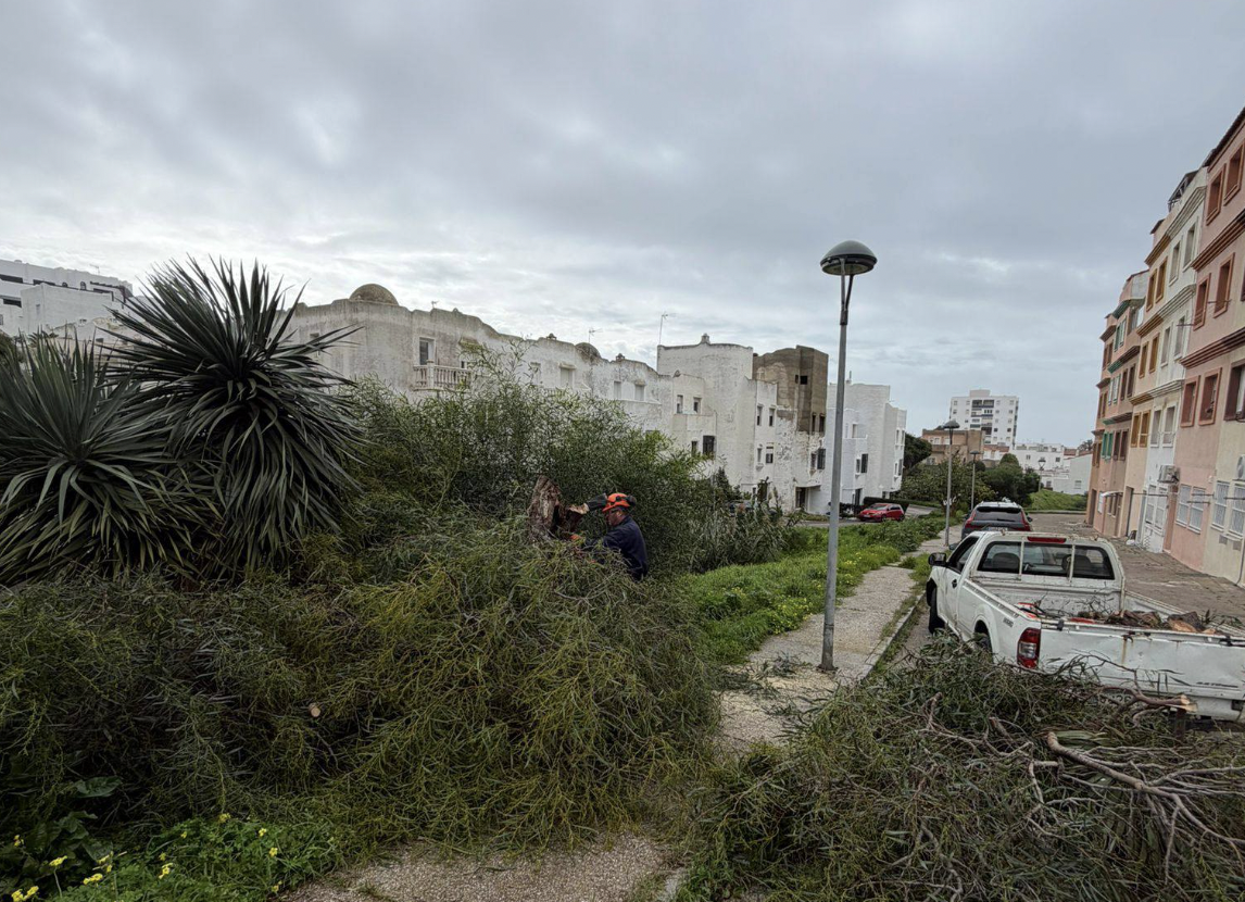 Tarifa retomará la atención a la ciudadanía este jueves pero permanece el cierre de parques y jardines 