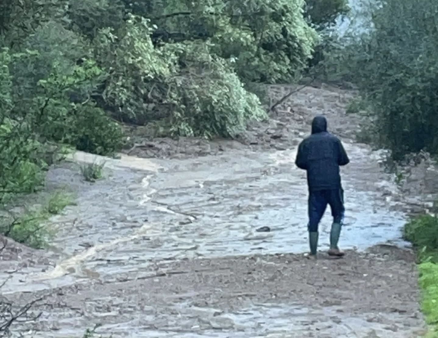 Jimena prevé que la A-405 reabra al tráfico a lo largo de esta mañana