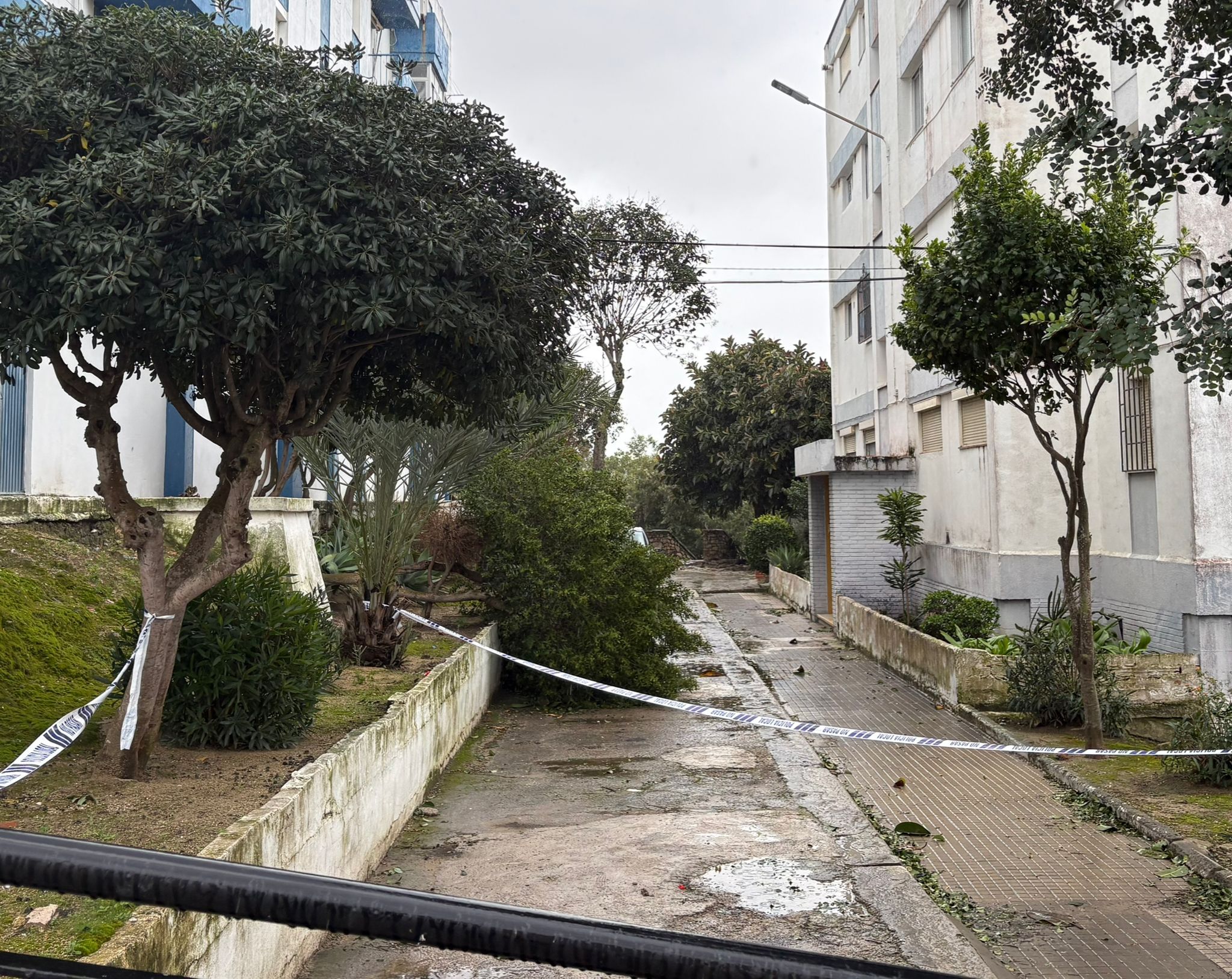 La borrasca 'Marta' deja caídas de árboles y anegaciones en San Roque