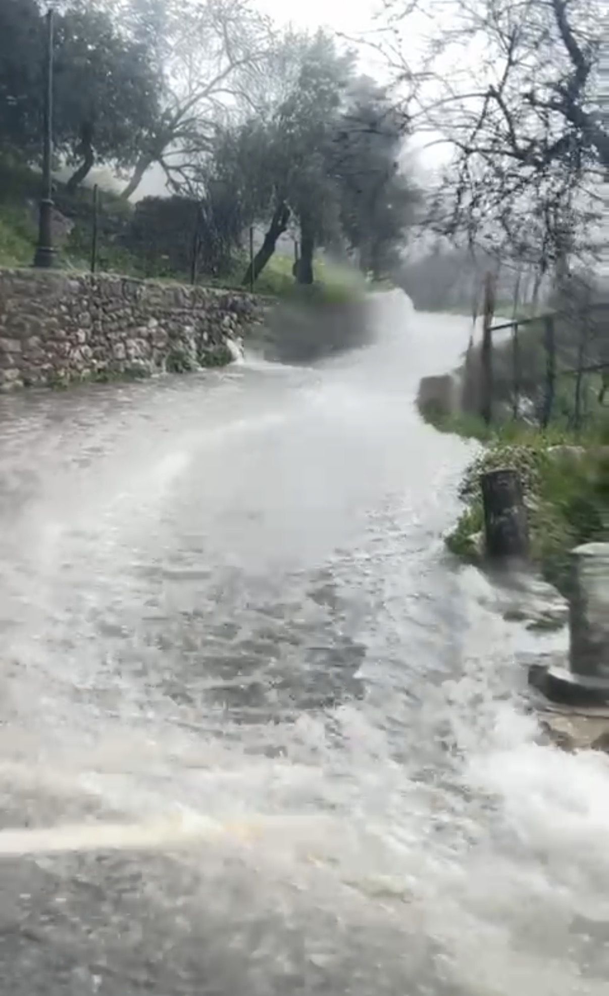 “Tuvimos que dejarlo todo”: una vecina de Grazalema relata la evacuación por las inundaciones