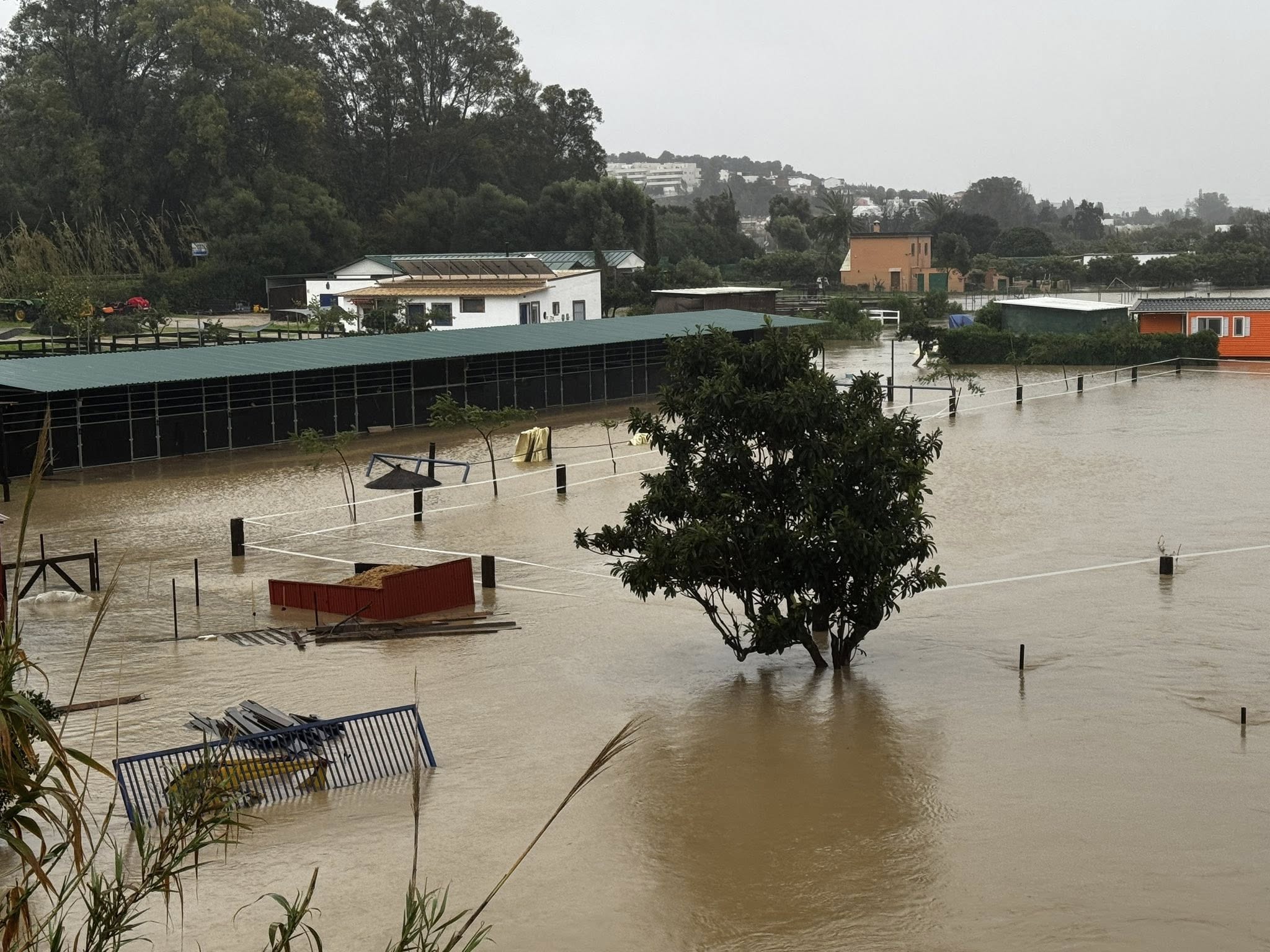 El Ayuntamiento de San Roque pedirá la declaración de zona catastrófica