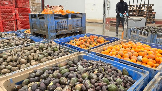 WhatsApp Image 2026 02 10 at 18.35.30