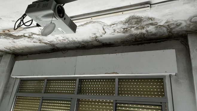 6511dedd 7c51 4ad6 b6af 392313f90ebc