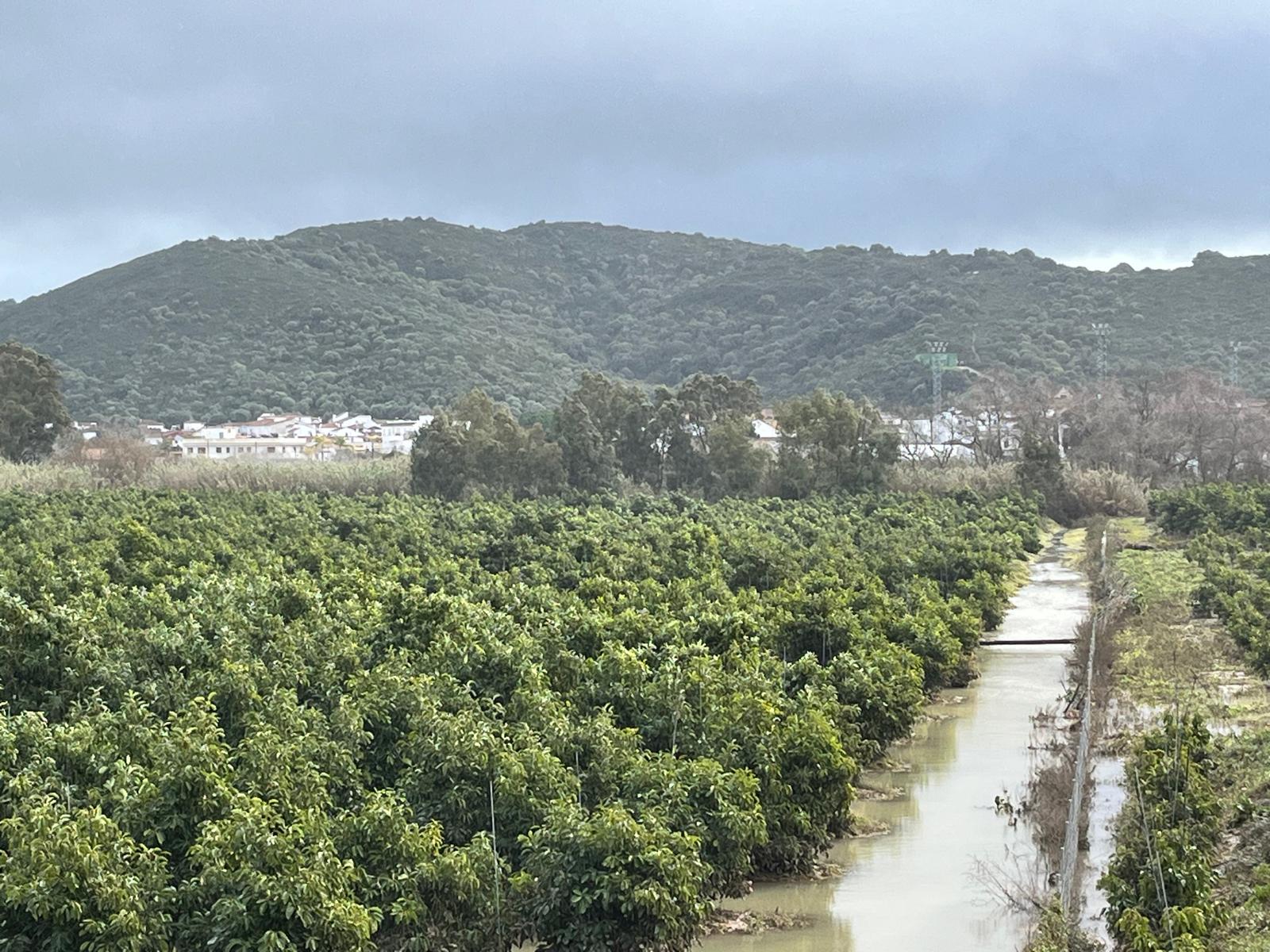 La Junta anuncia 1.780 millones para reparar daños y para ayudas a agricultores, autónomos y pymes