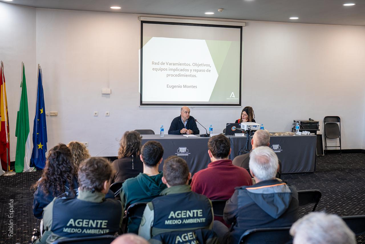 La Línea refuerza la protección de su biodiversidad marina ante el aumento de varamientos y nidificaciones