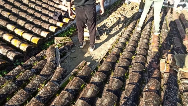 58e7f010 9436 4ab3 a8c4 368de8488fab