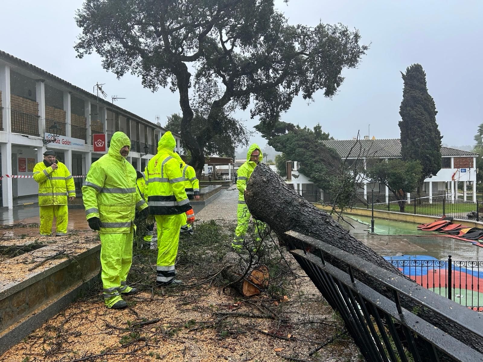 Las borrascas dejan daños por valor de 640.000 euros en Castellar de la Frontera Las borrascas dejan daños por valor de 640.000 euros en Castellar de la Frontera