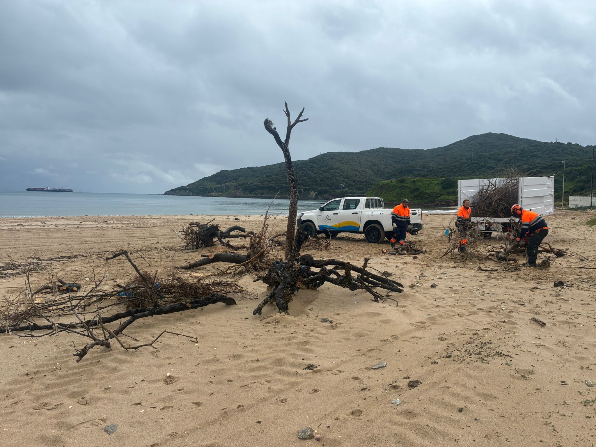 Imágenes de la limpieza. La playa de Getares se prepara para la Semana Santa con un plan de limpieza integral