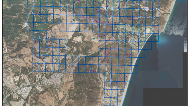Foto: cuadrículas de inspección minera. Verdemar.
