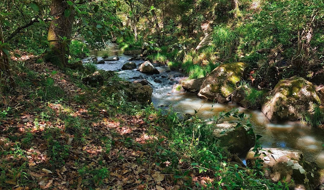 Valdeinfierno, en Los Barrios. Rutas de senderismo y en kayak: así es la agenda ‘Primavera Turismo 2026’ en Los Barrios 