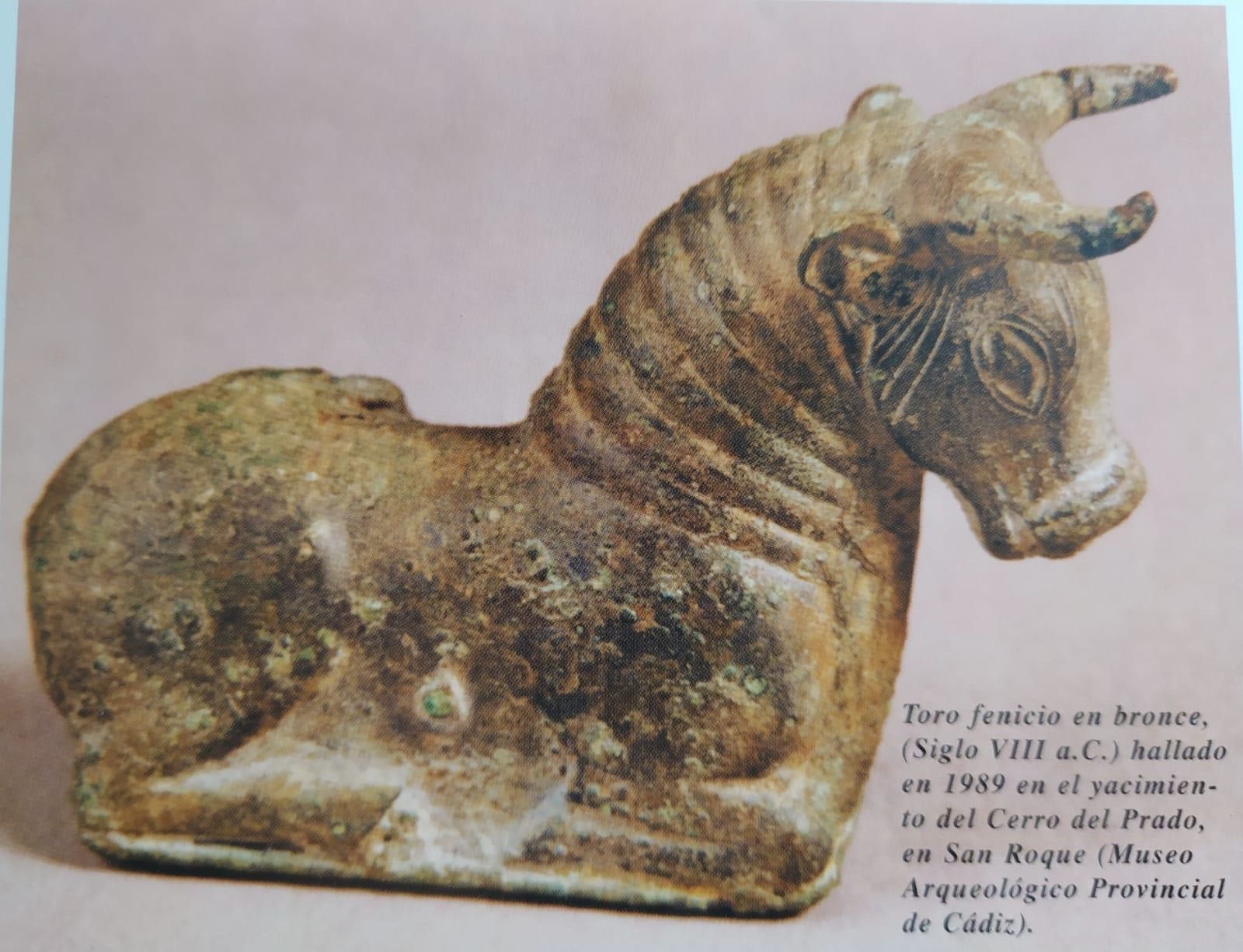 Verdemar alerta sobre la compra de suelo industrial en el yacimiento fenicio-púnico del Cerro del Prado