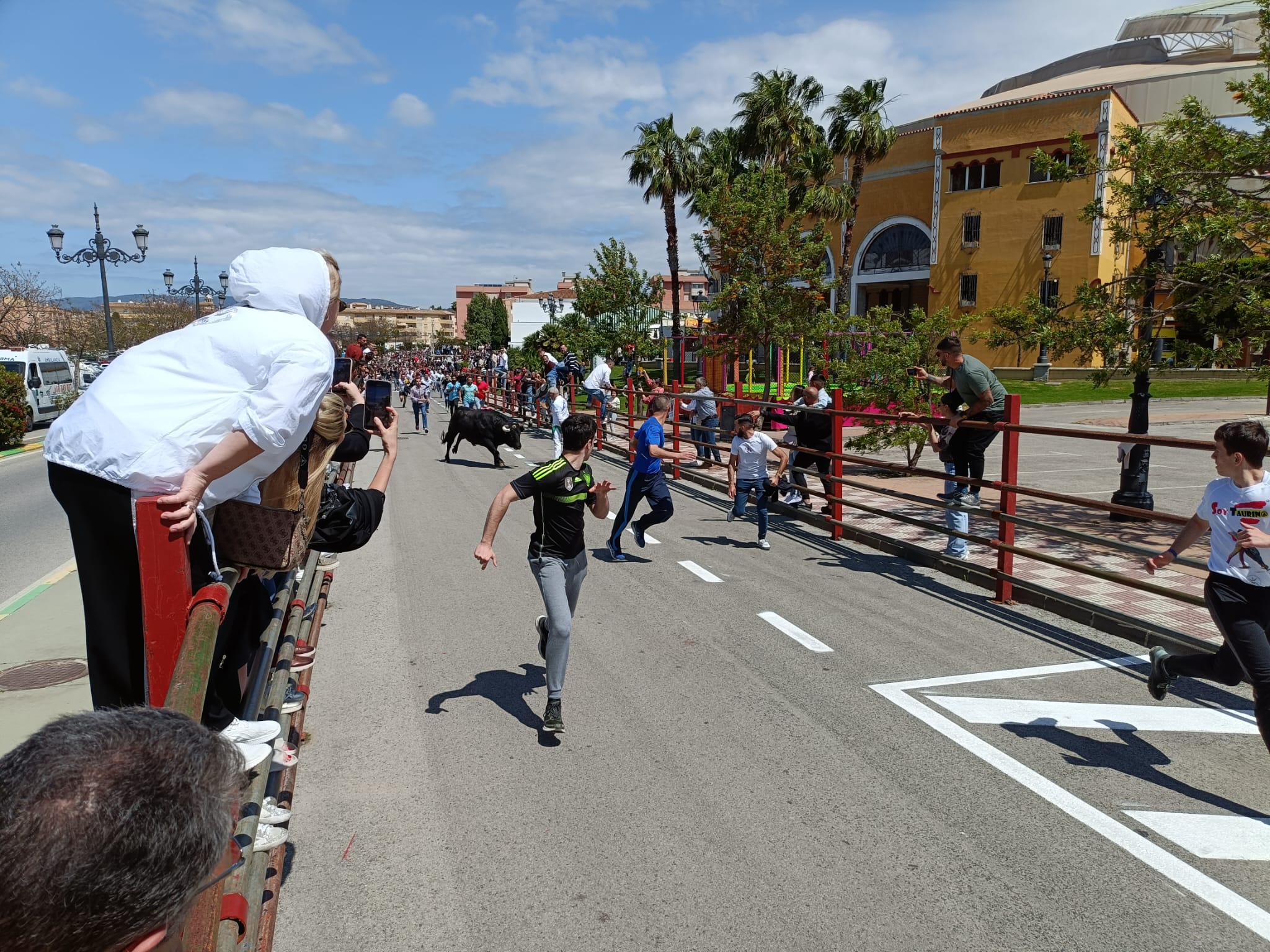 Los Barrios emite un bando con prohibiciones para la fiesta del Toro Embolao Los Barrios emite un bando con prohibiciones para la fiesta del Toro Embolao
