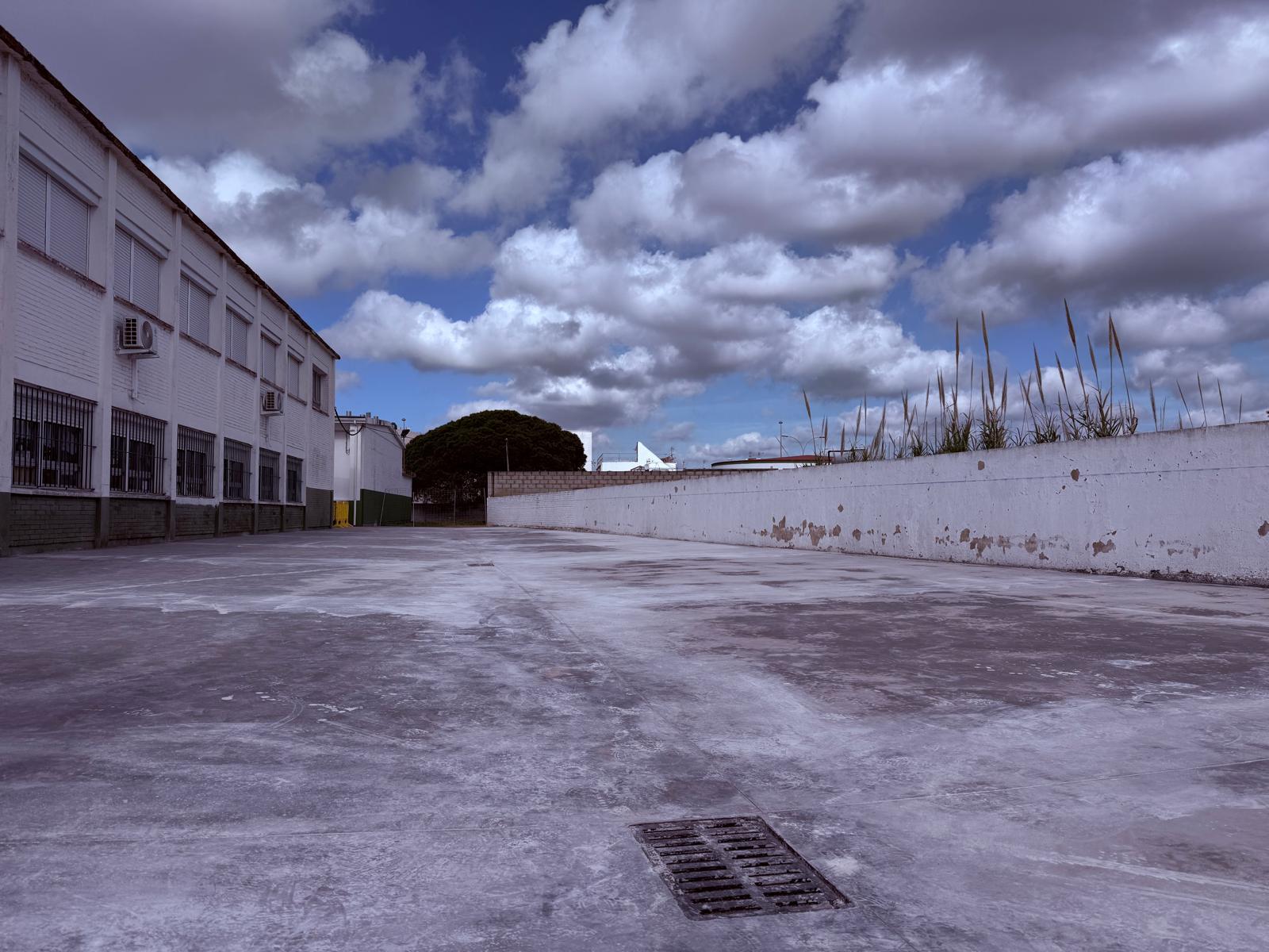 Finalizan las obras de mejora del patio del CEIP Nuestra Señora de Guadalupe de Palmones Finalizan las obras de mejora del patio del CEIP Nuestra Señora de Guadalupe de Palmones