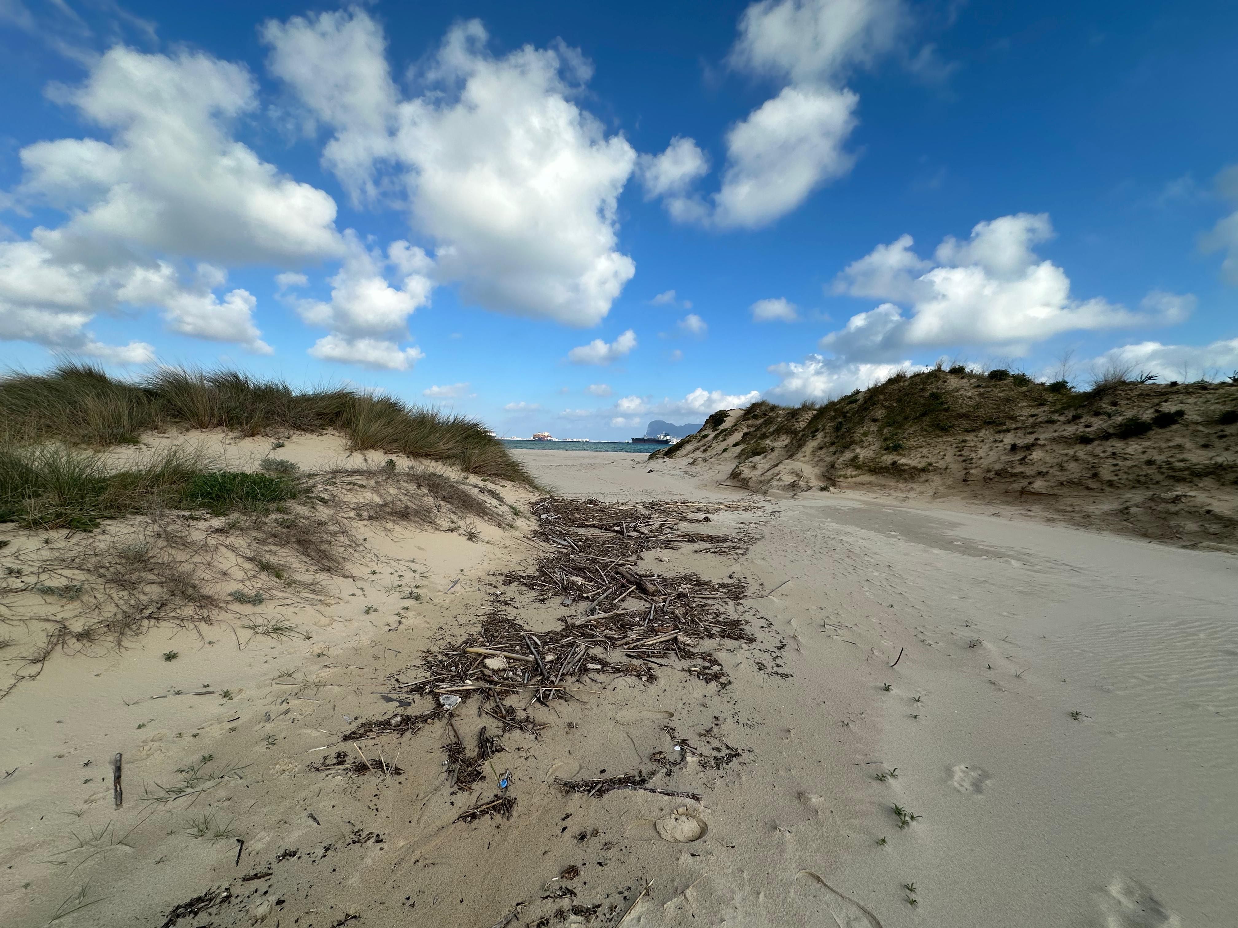 La degradación de las dudas de El Rinconcillo y Palmones llega a la Fiscalía La degradación de las dudas de El Rinconcillo y Palmones llega a la Fiscalía