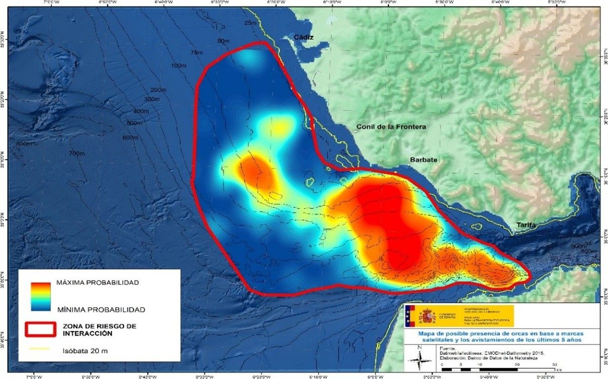 Las interacciones con orcas disminuyen en el Estrecho. Imagen del Ministerio para la Transición Ecológica y el Reto Demográfico (MITECO). 