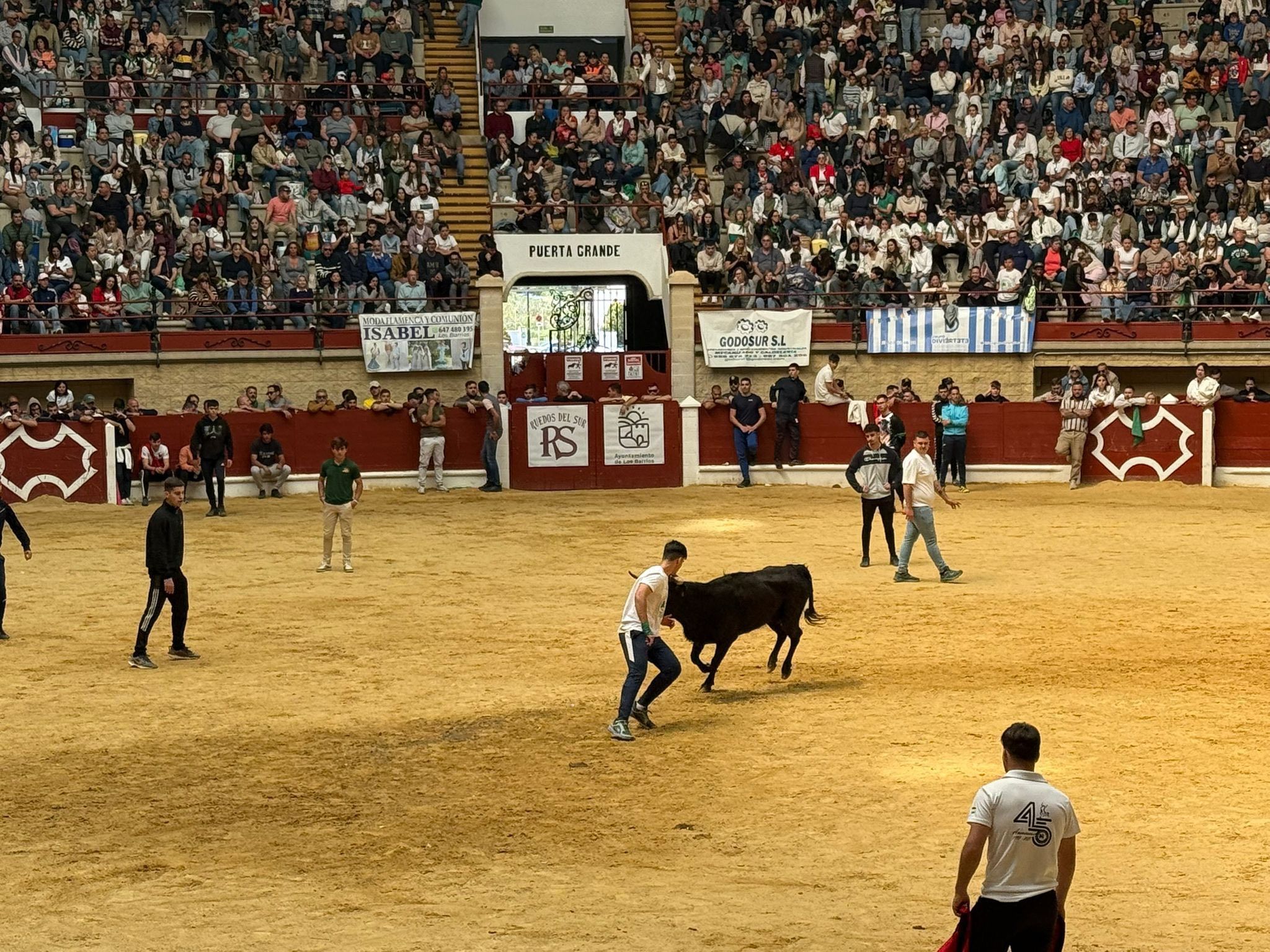 Un herido leve, balance de la multitudinaria jornada del Toro Embolao en Los Barrios