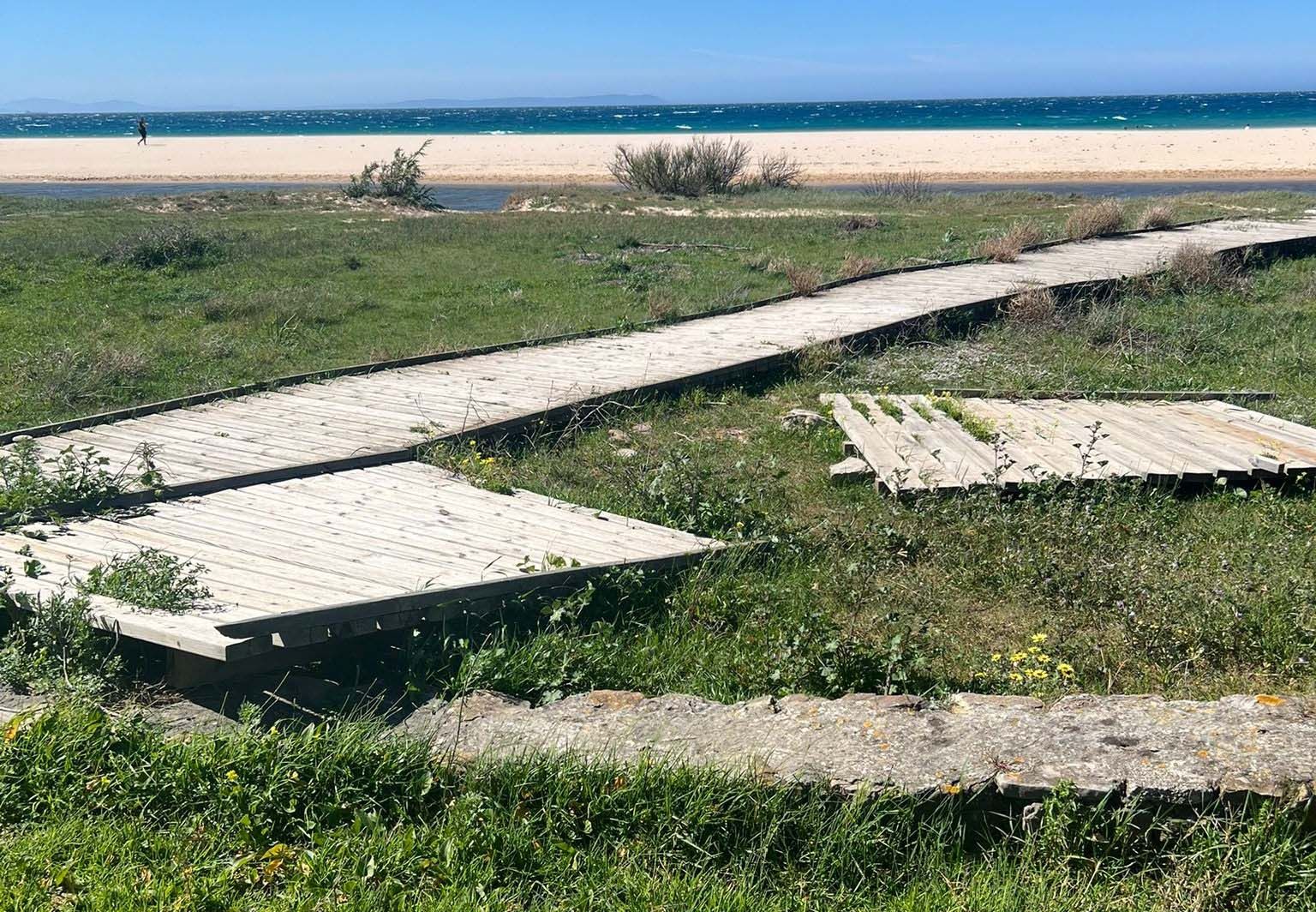 Denuncian la dejadez del gobierno local de Tarifa en playas y aparcamientos en plena Semana Santa. 
