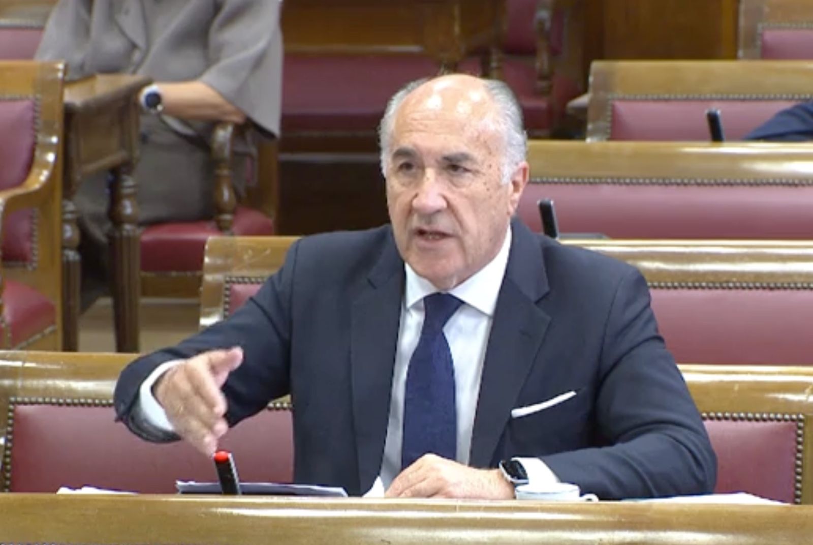 Landaluce reclama en el Senado garantías para la comarca ante el acuerdo sobre Gibraltar 