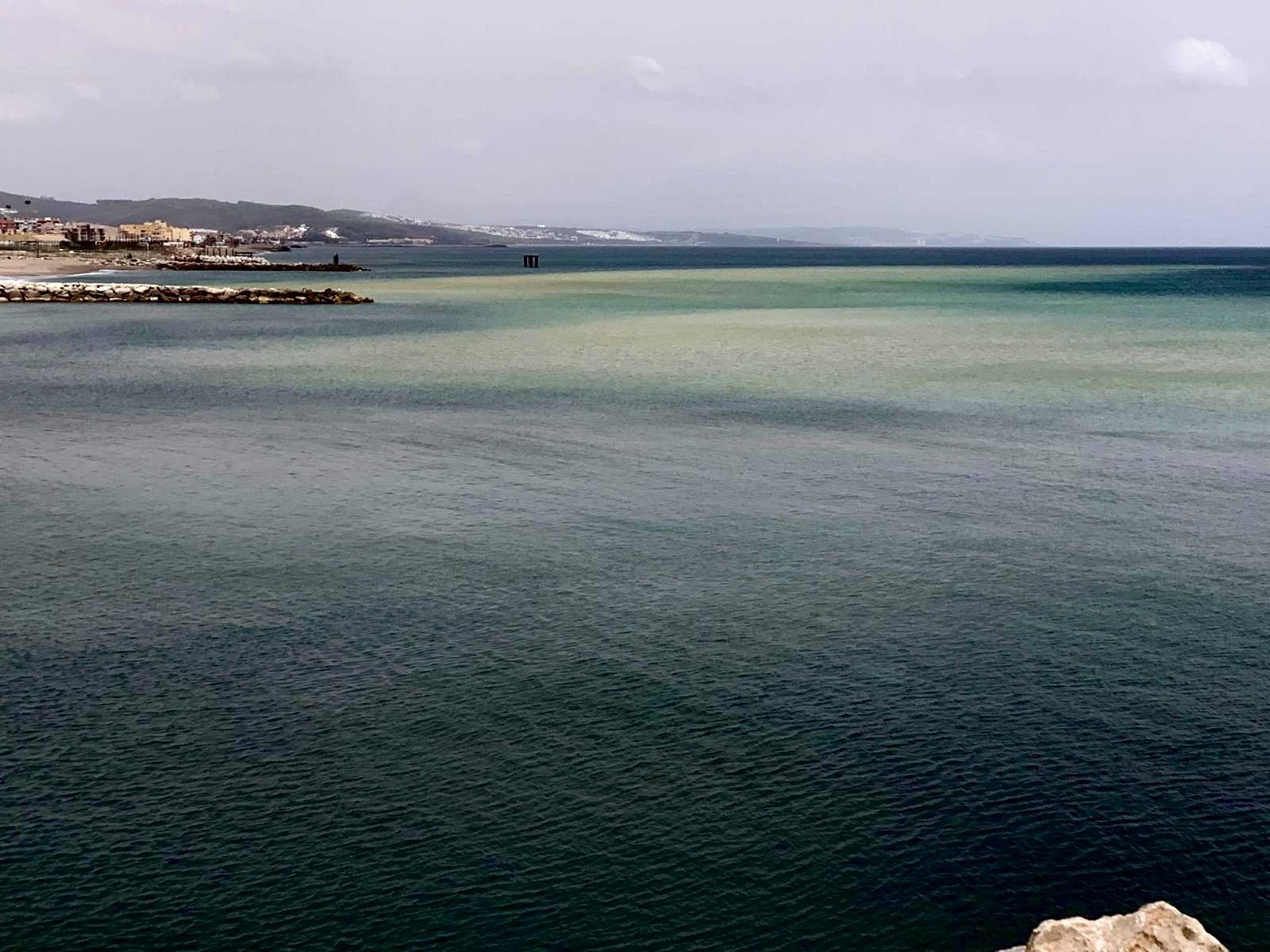 Verdemar alerta de nuevos vertidos del proyecto Eastside que amenazan los caladeros de La Atunara Verdemar alerta de nuevos vertidos del proyecto Eastside que amenazan los caladeros de La Atunara