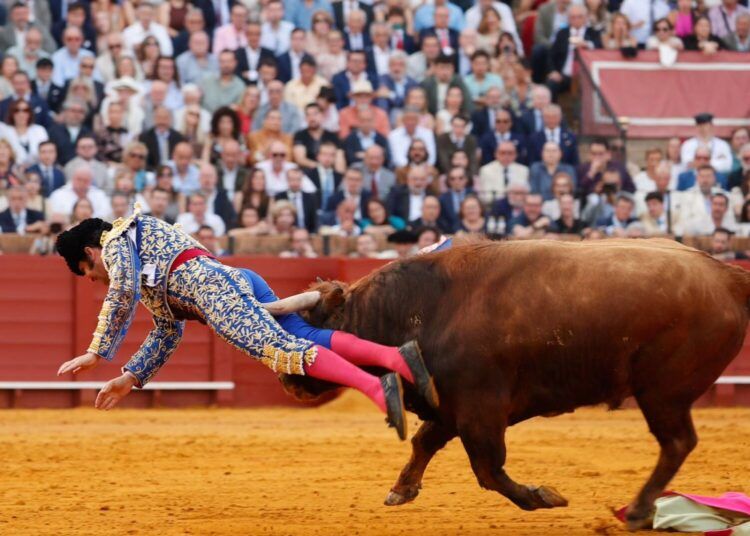 Morante de la Puebla, en la UCI tras una cornada en Sevilla con perforación rectal. Foto: Mundo Toro.