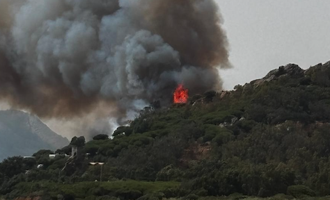 Imagen de Agaden de un incendio el pasado verano en Tarifa. 