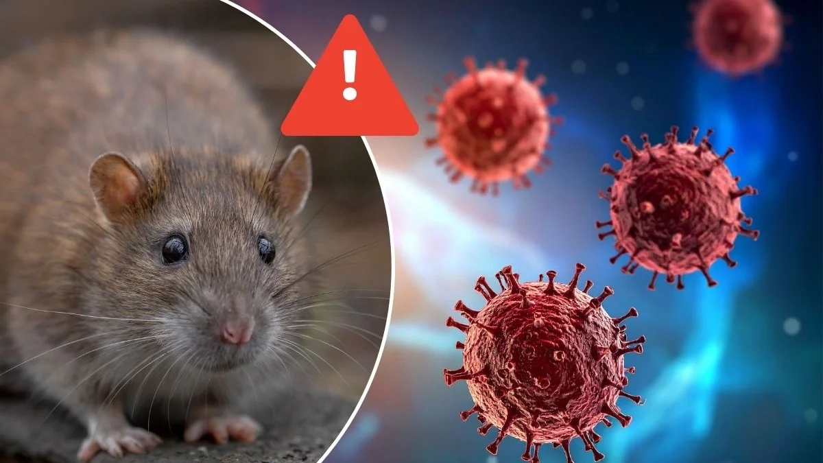 Hantavirus: Por qué no estamos ante un nuevo COVID y razones biológicas para no entrar en pánico
