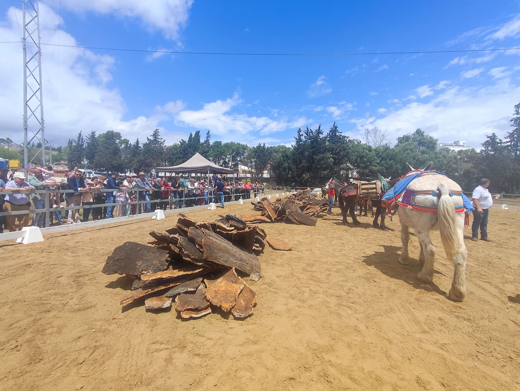 Jimena homenajea un año más a los arrieros en la Feria de Mayo